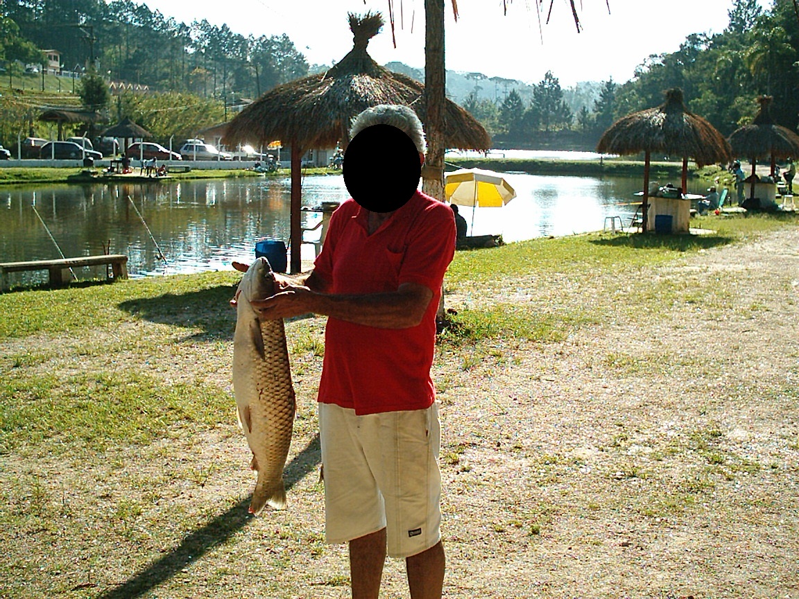 Pescador levantando uma carpa